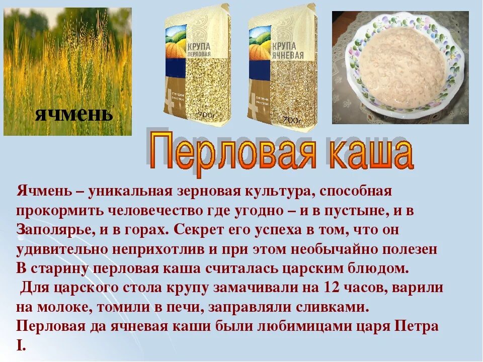 Пшеничная из какого зерна. Крупы из зерна. Крупа из злаковых культур. Ячневая крупа крупы. Крупа перловка ячневая каша.