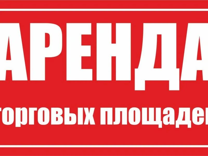 Объявление сдать в аренду. Сдам в аренду. аренда объявление. ищем торговые площади табличка. сниму торговую площадь.