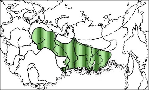 Ареалы ландшафтов