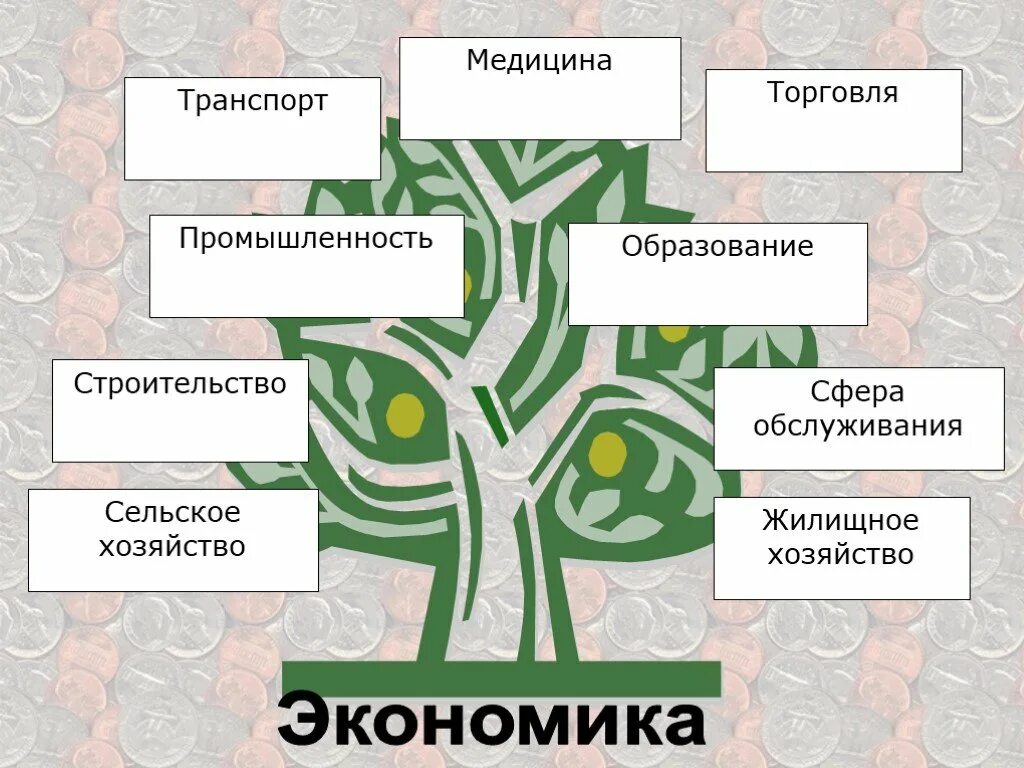 Отраслевая экономика презентация. Презентация на тему экономика. Отрасли экономики 2 класс. Экономика в виде дерева. Отрасли экономики 3 класс.