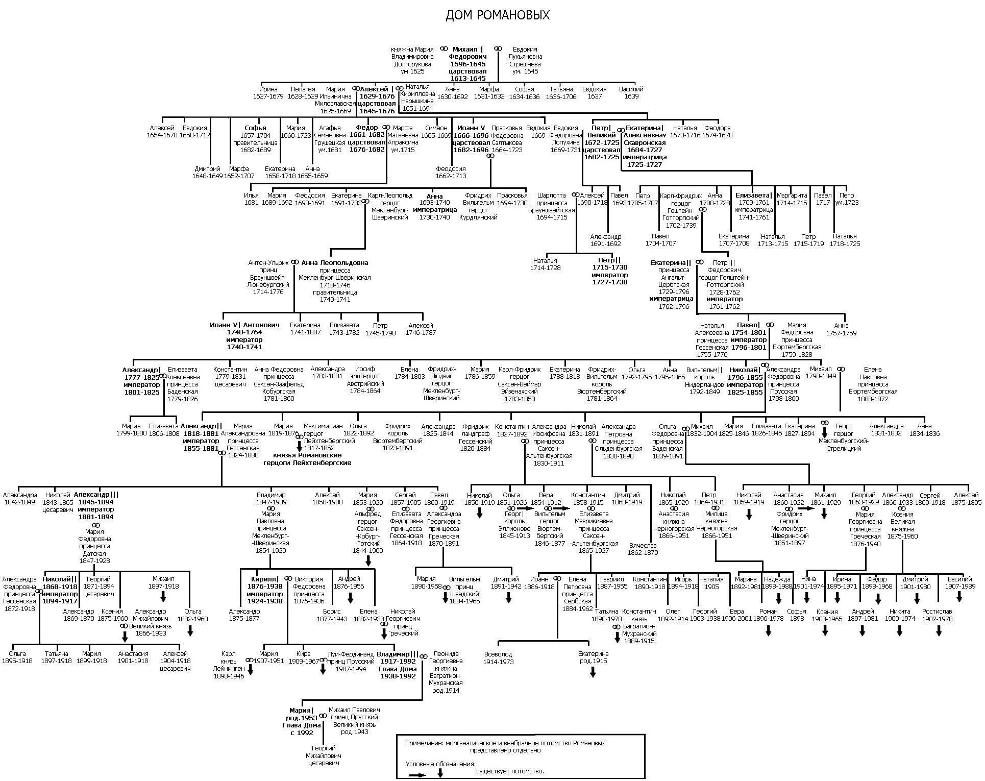 генеалогическое дерево дворцовых переворотов. генеалогическое дерево семьи романовых от петра 1. родословная первых романовых схема. семейное древо императоров царей россии. генеалогическое таблица романовых.