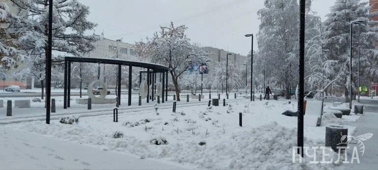 Снежком припорошило. Снежком припорошена. Запорошенный снегом забор. Осень мокрый снег. Человек запорошенный снегом.