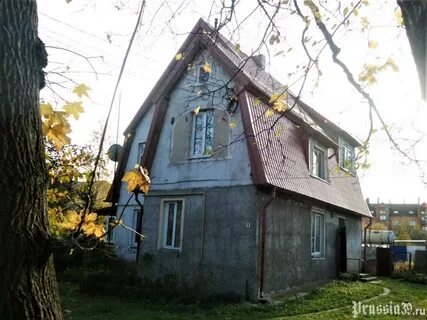 Пионерский калининградская область дача