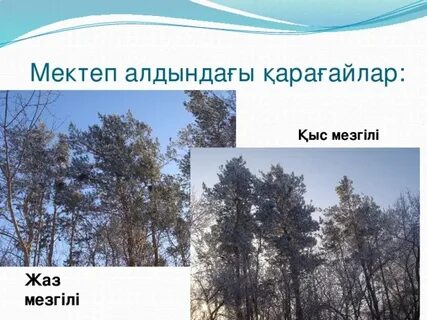 Ева Браунның жалаңаш фильмі