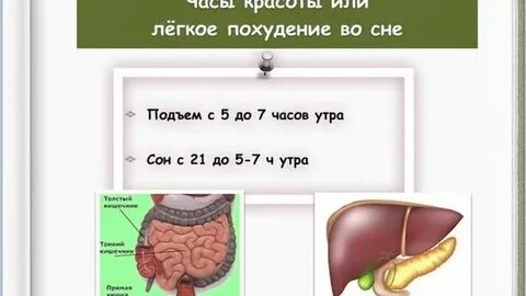 Спи и худей