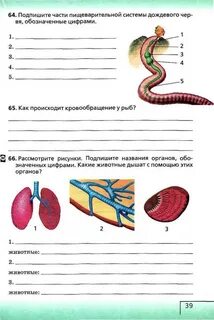 Диагностика по биологии 6