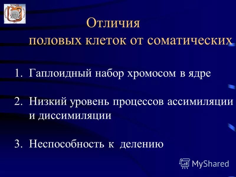 Чем половые клетки человека отличаются от