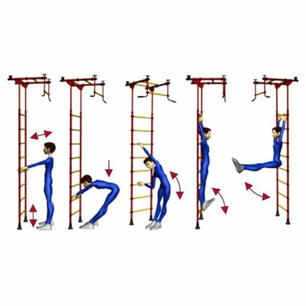 комплекс упражнений на шведской стенке для детей. вис на шведской стенке. виды упражнений на гимнастической лестнице. упражнения лазание и перелезание. лазание по гимнастической скамейке.