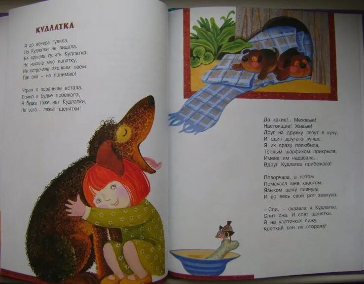 Бедный ежик минус