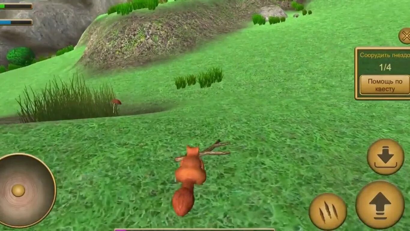 Симулятор белки чит. Симулятор белки. игра белка. игра белка с бельчатами. симулятор бельчонка.