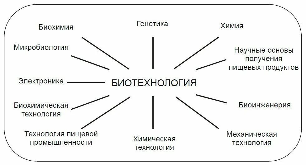 Основные направления биотехнологии схема. Современные методы биотехнологии. Биотехнология примеры применения. Биотехнология примеры применения. Перспективы биотехнологии.