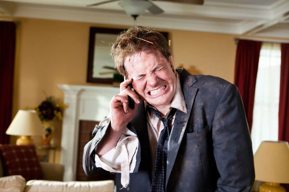 Месть пушистых. Месть пушистых. Месть пушистых. Месть пушистых 2010. Месть пушистых.