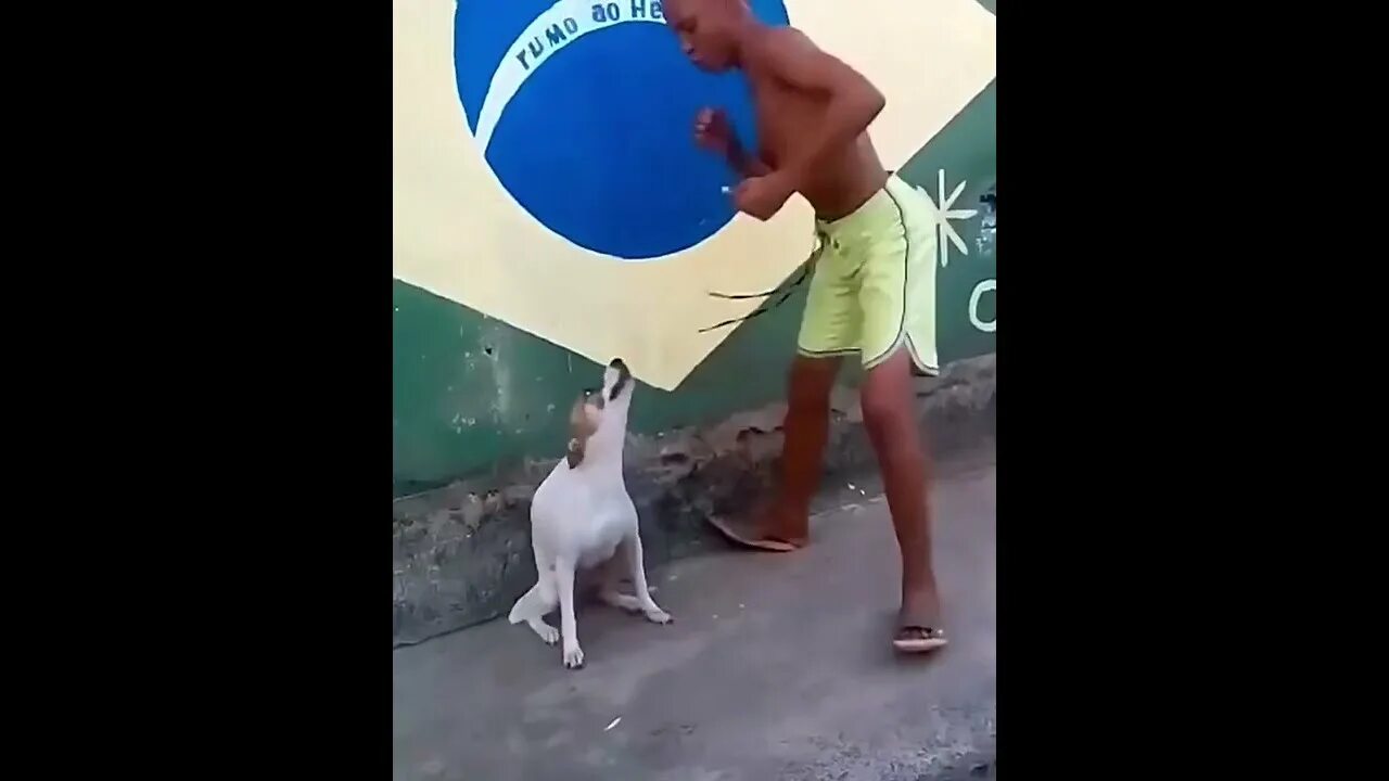 Здравый движ собака. Драйв 2011. Райан гослинг драйв. Когда водила протянул. Когда водила протянул.