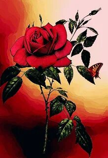 Rose fast
