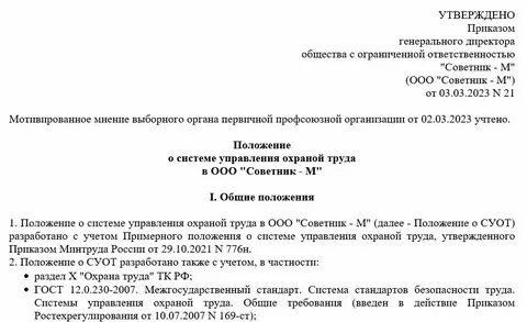 Положение о системе охраны труда 2024