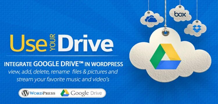 Wordpress google