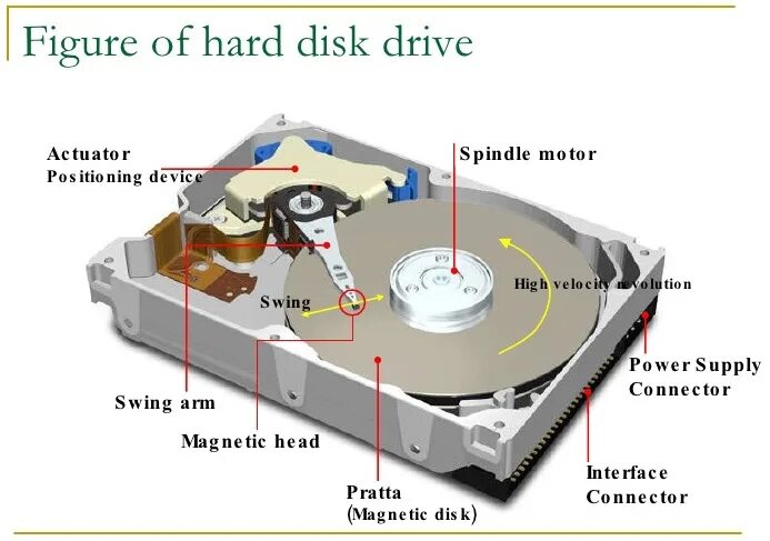Swat kats hard drive. перевод песни sorry. Hard drive перевод. Who wants to live forever. переводчик песен.