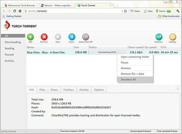 Torch сайт. Torch browser. torch программа.