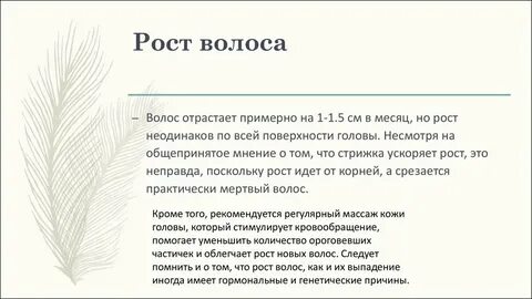 Скорость роста волос