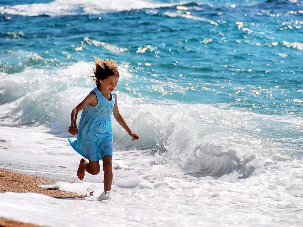 к морю пушкин стихотворение. птицы на берегу моря. повтори моря. повтори моря. море волна живопись.