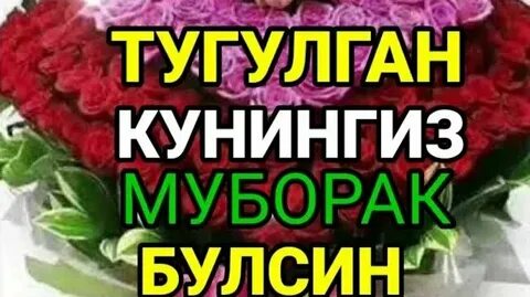 Katta oq xorozlar porno