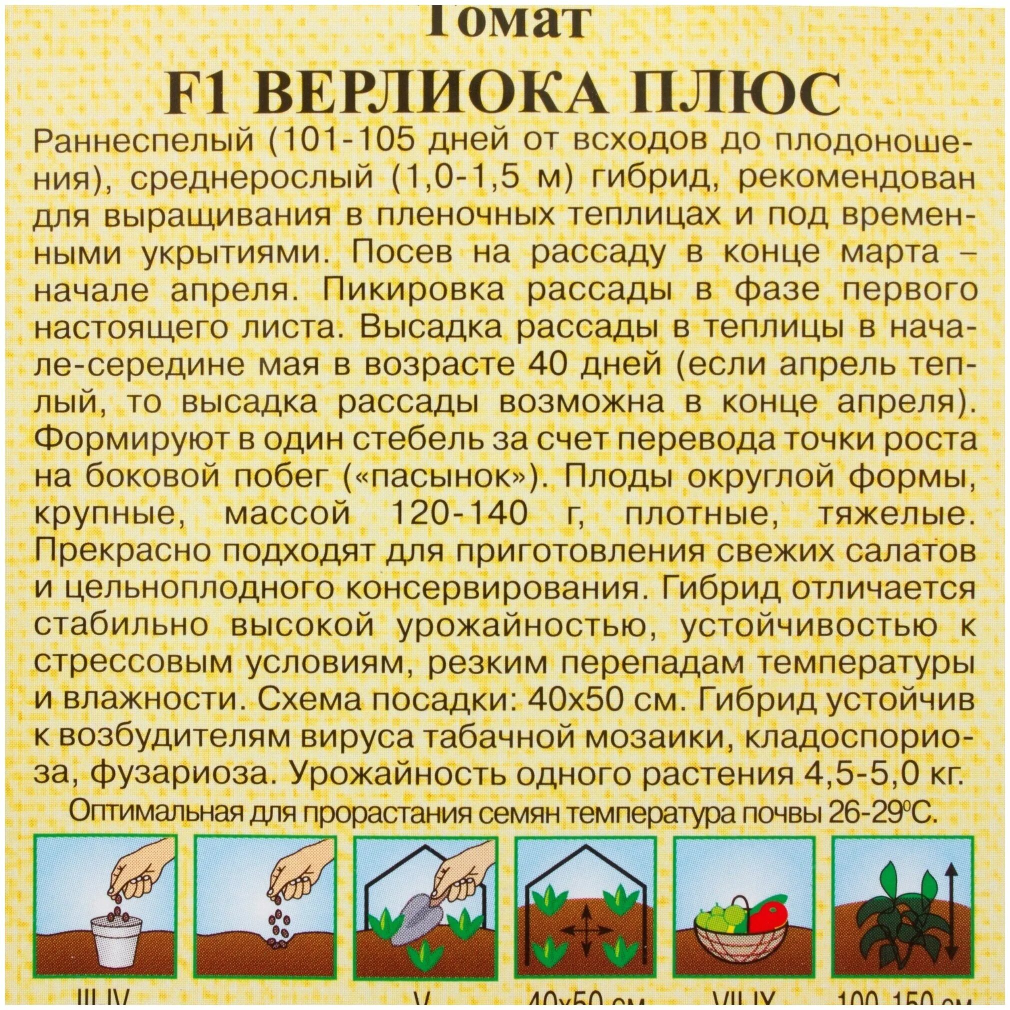 семена томат верлиока f1. томат верлиока f1. томат рапсодия-нк f1. томат ф 1 верлиока плюс. сорт томатов верлиока.