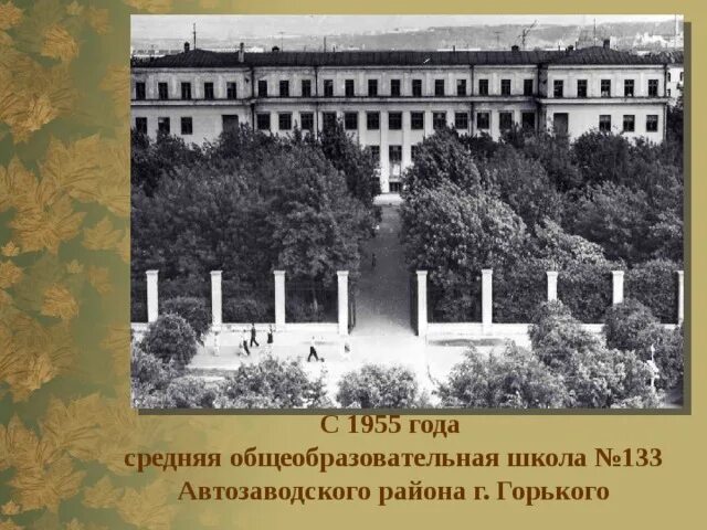 Директор школы 133. Школа 133 нижний новгород. директор школы 133 нижний новгород.