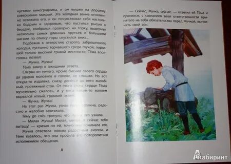 Текст тема и жучка