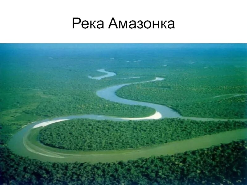 Южная Америка река Амазонка. Амазонка самая полноводная река в мире. Проект река Амазонка. Река Амазонка презентация.