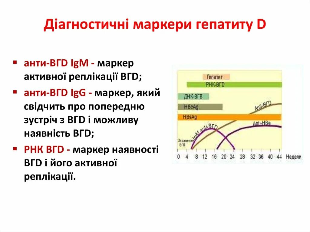 Маркеры гепатита в по стадиям. Маркеры гепатита б расшифровка. Иммунологические маркеры гепатита в. Маркеры гепатита c. Кровь на маркеры гепатита в и с