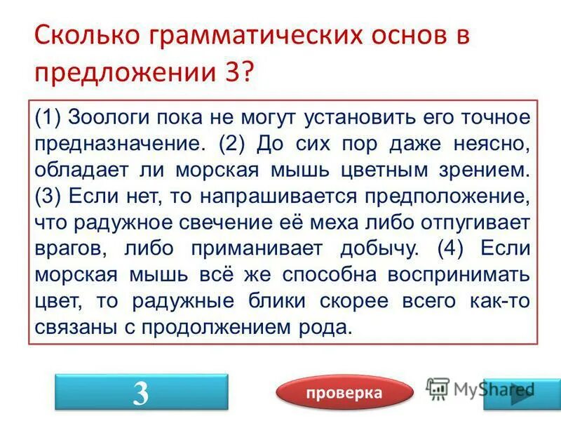 Зоолог профессия. Стихи про зоолога. Сколько зарабатывает зоолог. Зоологи не могут неясно напрашивается предположение. Науки о животных.