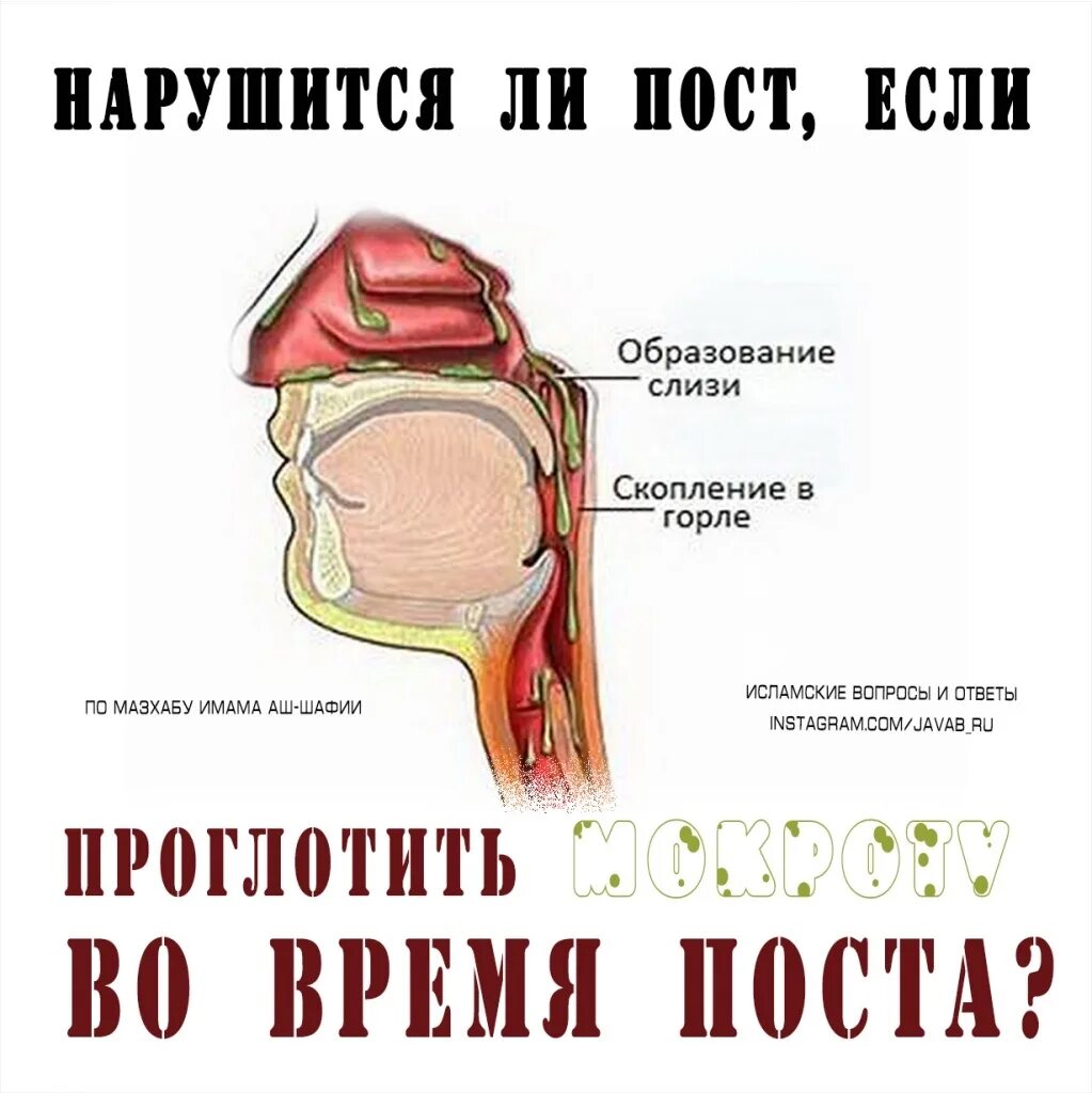 Пост нарушается если. Портится ли пост если проглотить мокроту. Исламские вопросы и ответы исламские. Нарушает ли пост глотание мокроты.