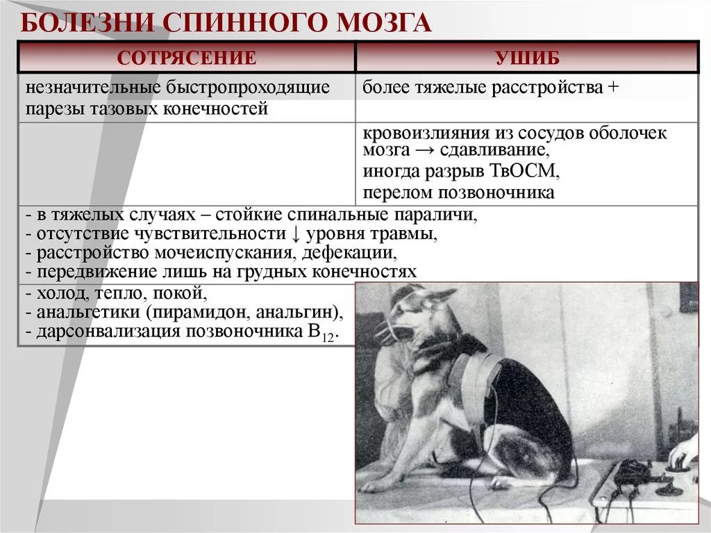 Болезни спинного мозга симптомы. Сотрясение и ушиб спинного мозга. Заболевания связанные со спинным мозгом.