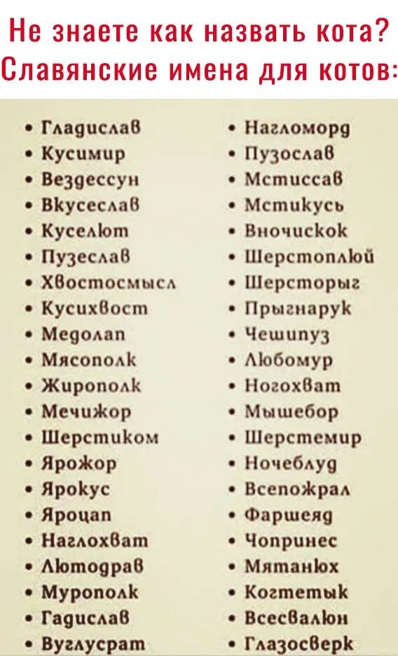 Как назвать имя котов. Старорусские имена для девочек. Мужские имена для котов. Славянские имена для кошечек.