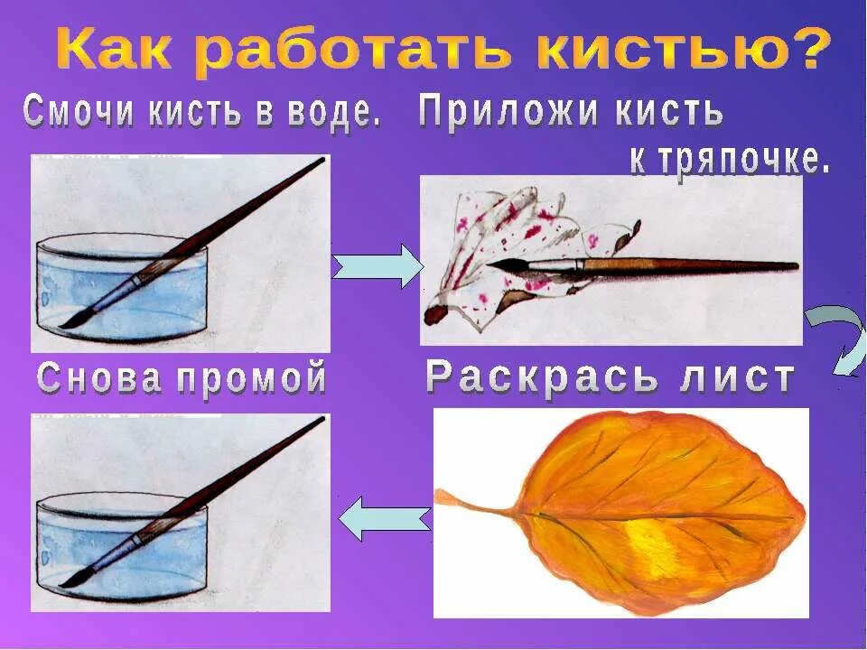 Название кистей для рисования. Правила рисования карандашом и кистью. Правила работы с красками. Правила работы с кистью для детей. Правило кисточки.