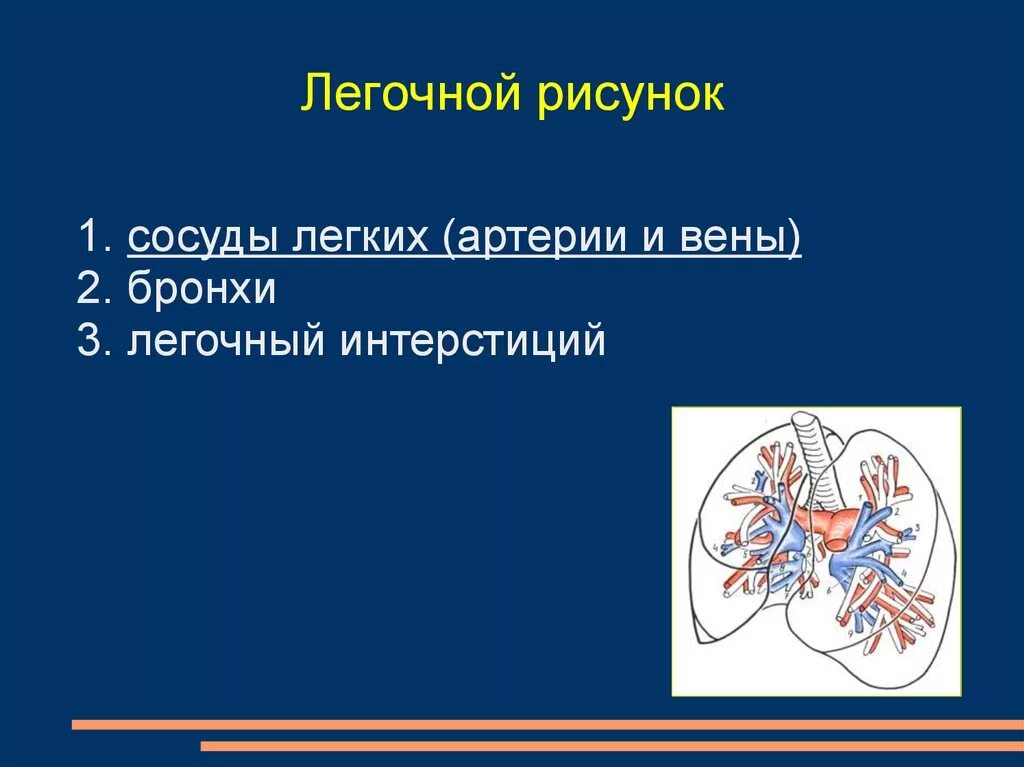 Легочный рисунок выражен. Легочный рисунок выражен