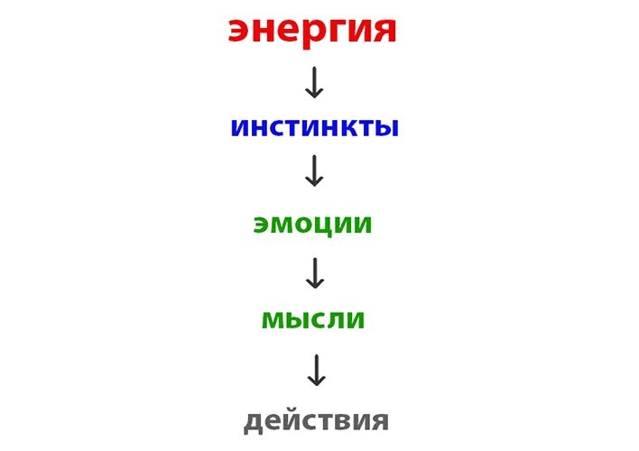 эмоция инстинкт. инстинкт схема. чувство и инстинкты это разное. родительский инстинкт и котики. теория социальных инстинктов.