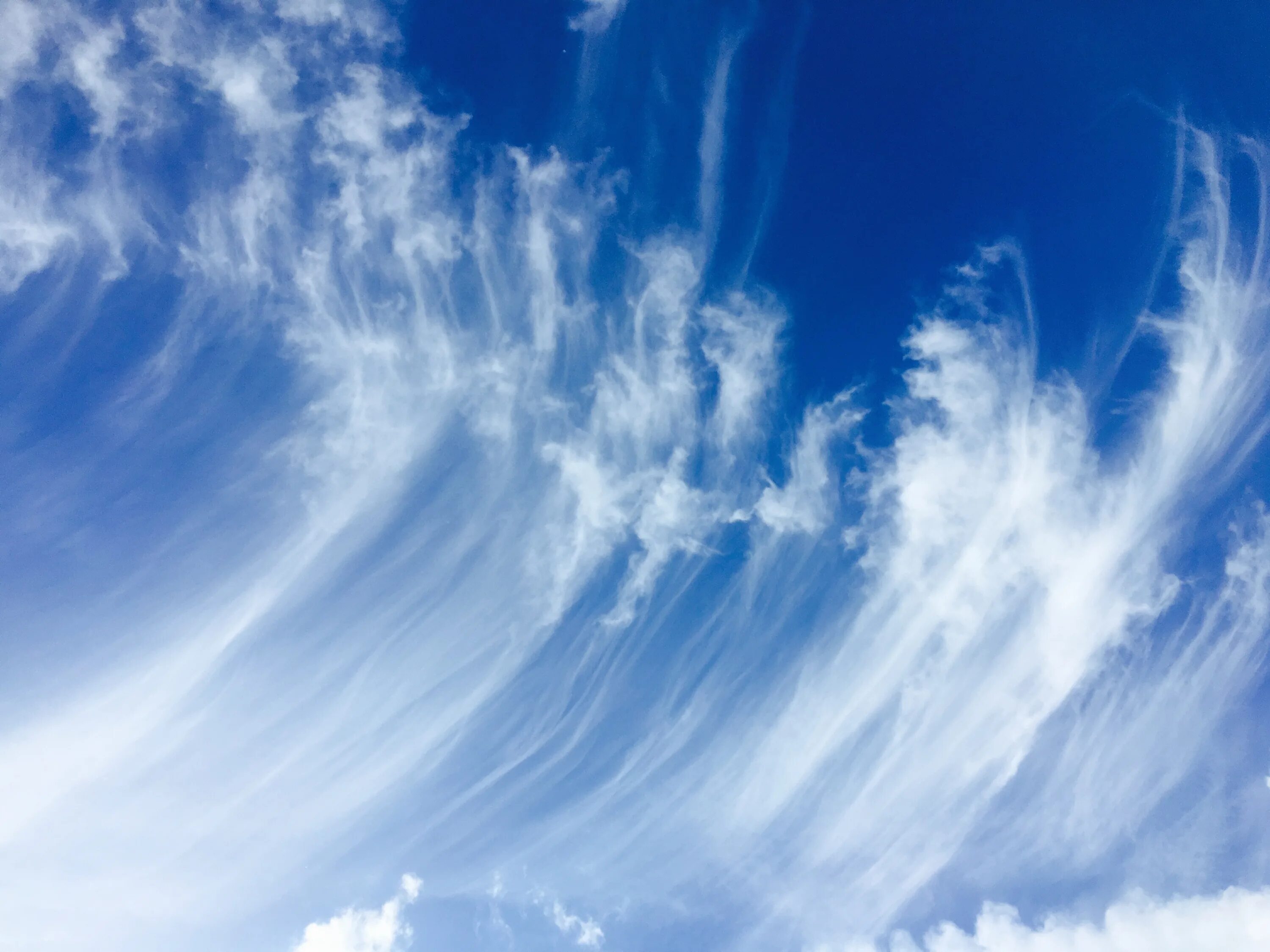 Ветер разгон т облака. Cirrus перистые облака. Перистые когтевидные. Перистые облака облака. Перистые когтевидные облака.