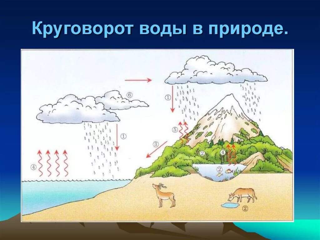 Гидросфера круговорот воды. Круговорот воды в природе. Большой круговорот воды в природе. Круговорот воды в природе схема рисунок. Этапы формирования воды в природе