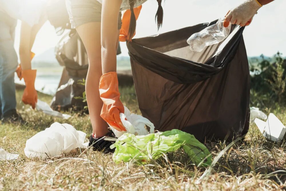 Picking up women. Pick up Garbage. Cleaning the River of Garbage. Park Cleaning Garbage. Clean Garbage.