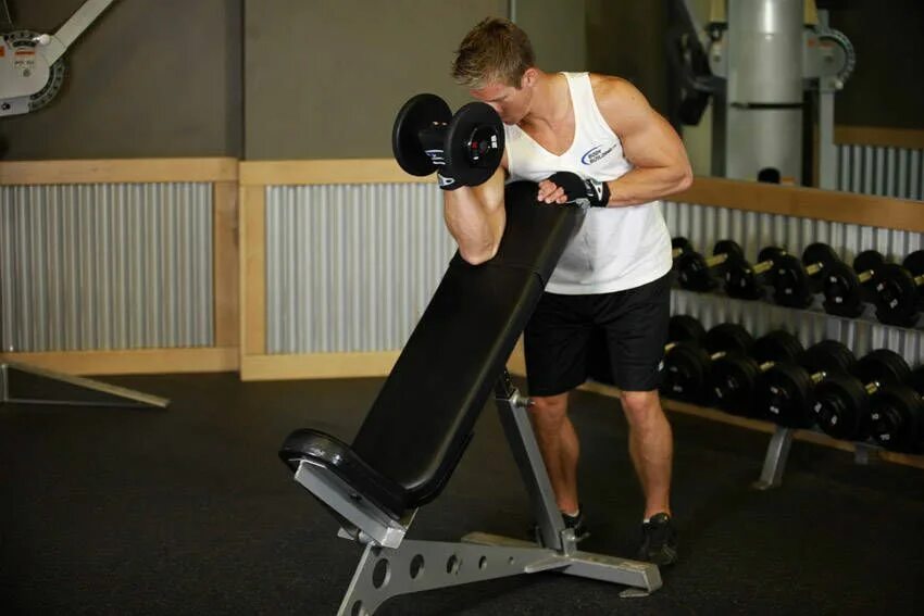 Подъем на бицепс на скамье Скотта. Incline Bench Dumbbell Curl. Подъем 1 гантели на бицепс на скамье Скотта. Бицепс Лавка Скотта стоя. Www curl