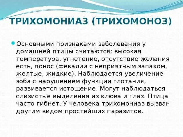 Трихомоноз у мужчин симптомы. Трихомоноз у птиц симптомы. Болезнь у птицы трихомоноз.