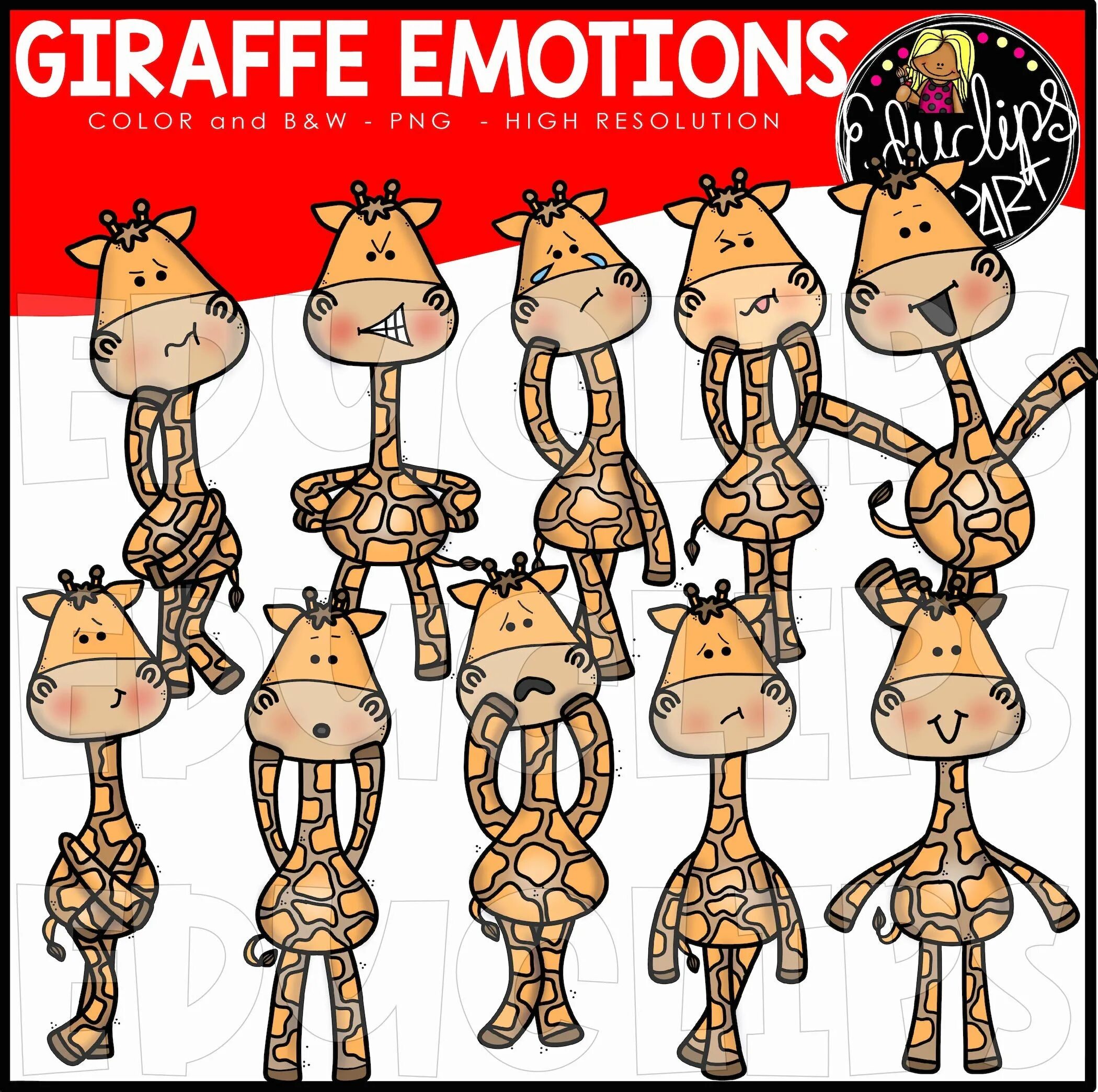 Animals emotions