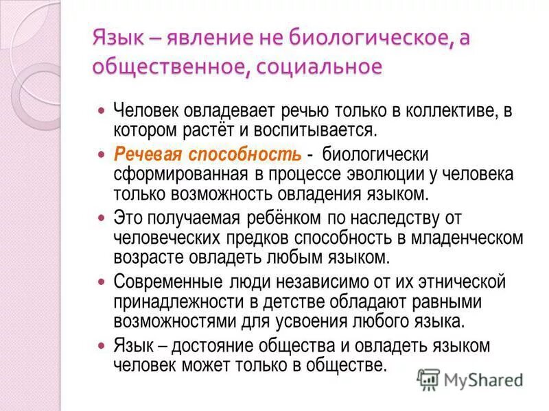 Презентация по русскому языку "Проект на тему "Портрет слова язык