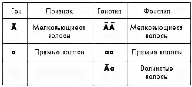 У людей ген курчавых волос неполностью доминирует. Прямые и кудрявые волосы доминантный признак. Кудрявые и прямые волосы доминантный ген. Какой цвет волос доминирует. Ген курчавых волос доминирует над геном прямых гетерозиготы имеют.