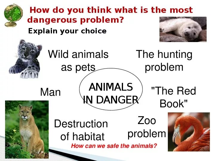 Animals in danger at present