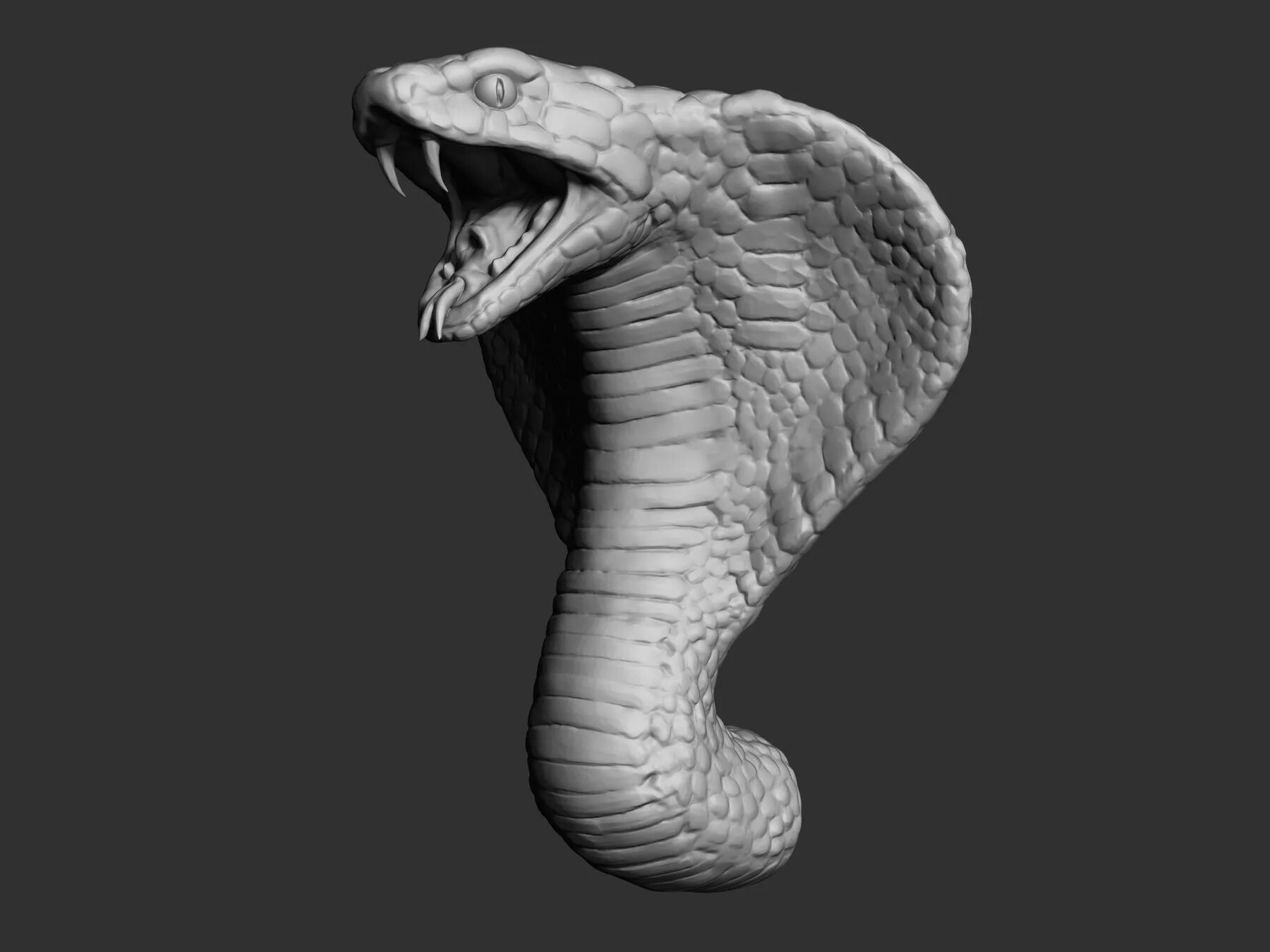 Cobra 3d. Cobra 3d model. 3d модель кобры. Голова кобры. Кобра STL.