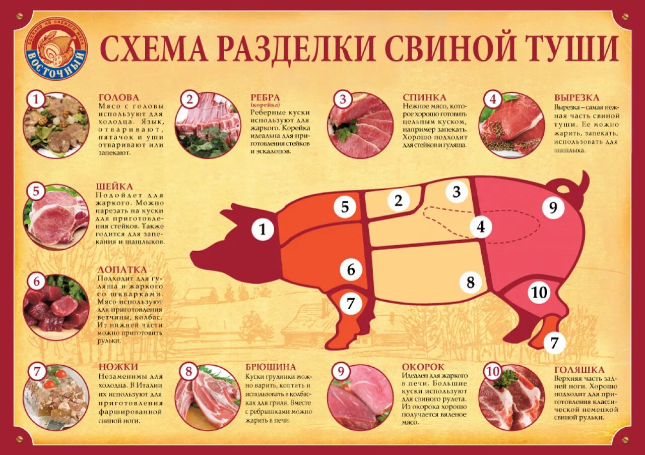 Части туши свиньи схема. Разделка полутуши свинины схема. Схема разруба туши свиньи. Свиная туша схема разруба.