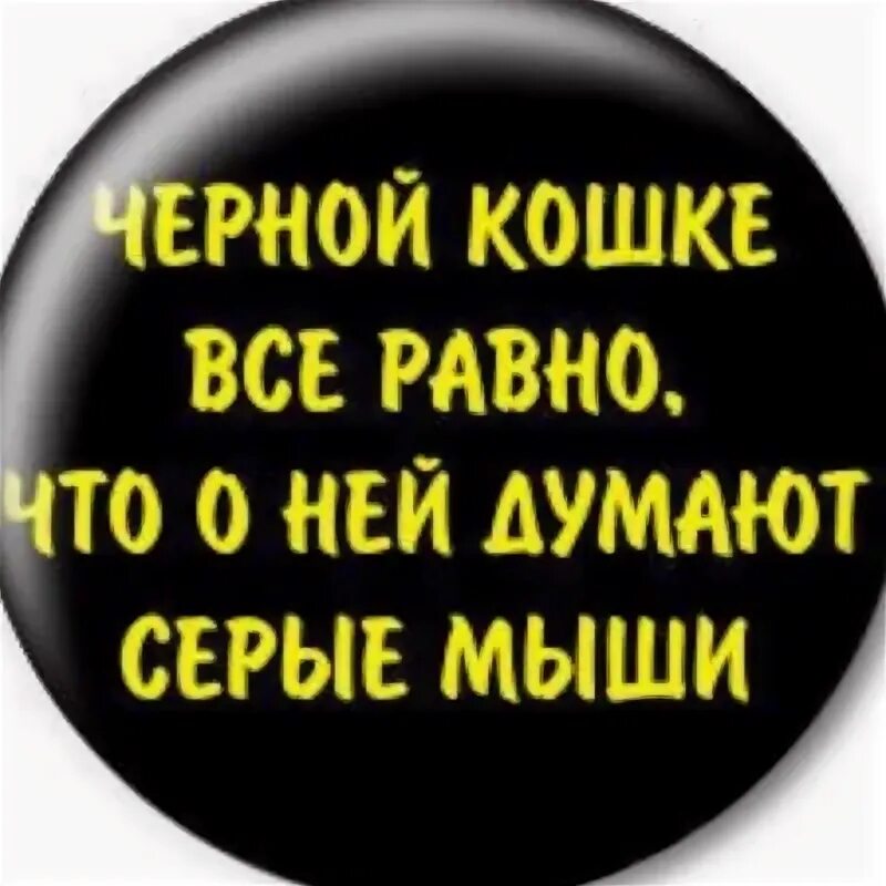 Чёрной кошке всё равно что о ней думают серые мыши. Чёрной кошке всё равно что о ней думают. Картинки черной кошке все равно что о ней думают серые мыши. Черный статус.