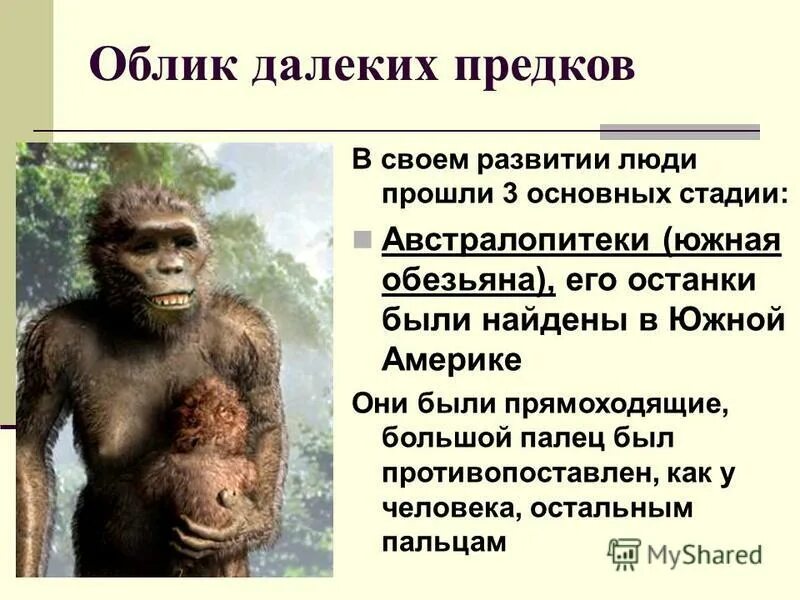 Как стать первобытным человеком. Как стать первобытным человеком